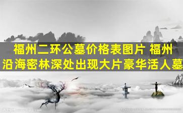 福州二环公墓价格表图片 福州沿海密林深处出现大片豪华活人墓